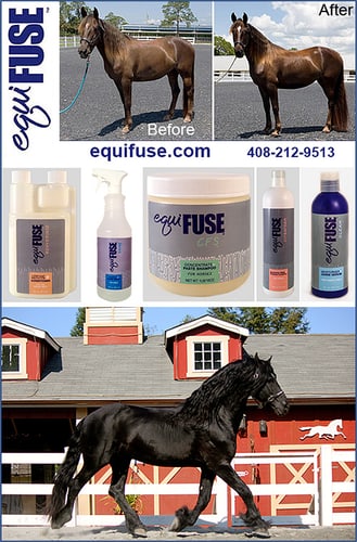 Equine Skin Care Line by EquiFUSE&reg;
