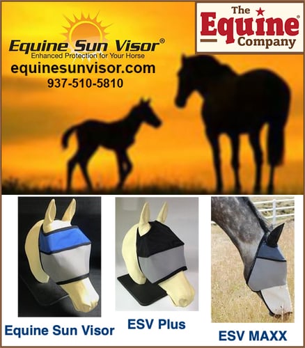 Equine Sun Visor by THE EQUINE COMPANY — Tack (Their longtime equine veterinarian warned them that Indy's lack of pigmentation…)