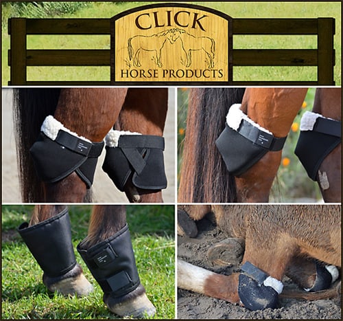 Hockshield and Fetlock Shield by Click Horse Products — Health (Hockshield and Fetlock)