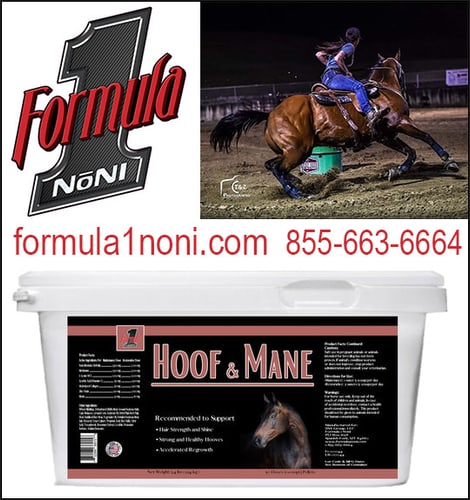HOOF and MANE by Formula 1 Noni — Health (It is almost unheard of to see an unhealthy horse with a glistening coat, shiny…)