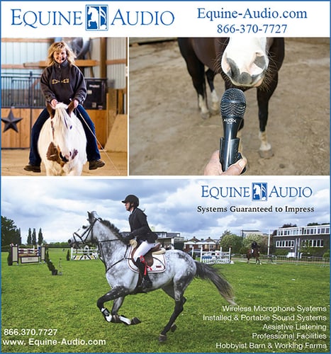 Equine-Audio — Barn Accessories (Our Barn Cameras, Wireless Microphones and Comprehensive Sound Systems, don't…)