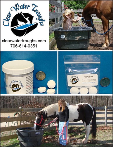 Clear Water Troughs — Barn Accessories (Cleaning the water troughs is the nastiest job of being a horse owner that Iknow)