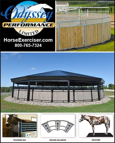 Odyssey Performance Horse Exercise r By Odyssey Performance Limited — Barn Accessories (Riding or driving to exercise and condition is time consuming and costly)