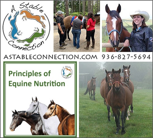 Principles of Equine Nutrition — Barn Accessories (by A Stable Connection is a one of a kind, comprehensive, one day)