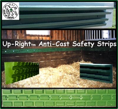 YOUR — Barn Accessories (The UP RIGHT® Strips are designed to give the horse leverage when CAST so it…)