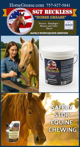 Horse Grease by Sergents 3, LLC — Barn Accessories (Are Your Horses “Busy Beavers”— Chewing Fencing, Stalls and More)