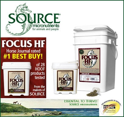 4Source.com — Health (FOCUS HF (Hoof) provides specialized nutritional support for horses with poor…)