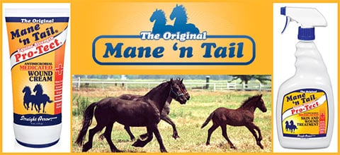 Cowboy Magic — Health (Setting the grooming standard for equestrian enthusiasts over the past 40…)