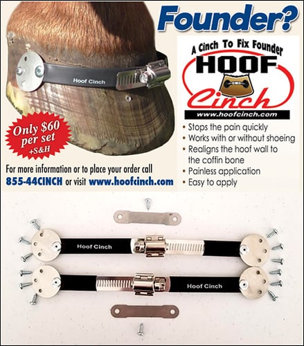 Chuck Potter — Health (is the owner/operater of Donkey Hill Farm Farrier Service)