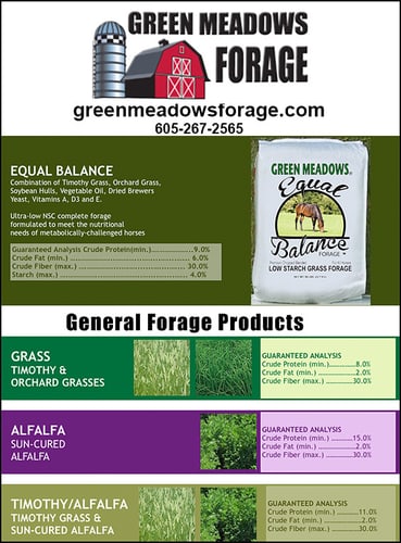 Green Meadows Forage — Barrel Racing (Are you looking for the best Hay Replacement or Packaged Forage for your horse)