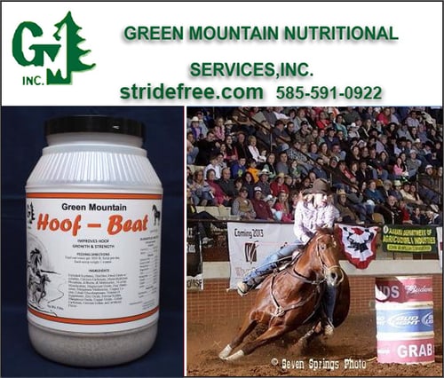 Green Mountain Nutritional Services — Health (Hoof Beat by Green Mountain Nutritional Services is a nutritional supplement…)