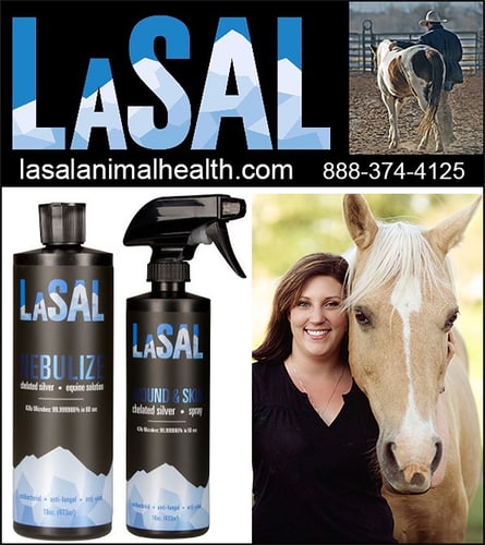 LaSal Animal Health — Health (La Sal Animal Health offers the only chelated silver nebulizing solution on the…)