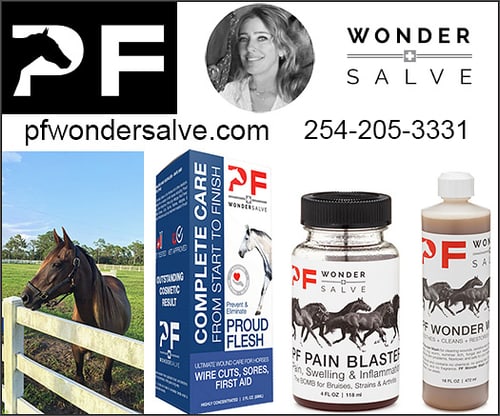 Melanie Wilfong — Health (WonderSalve is a miracle for Proud Flesh prevention or removal, wounds, sarcoid…)
