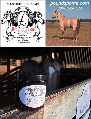 Ma's Hoof Magic — Health (is an amazing formulation of ALL NATURAL ingredients that do such an incredible…)