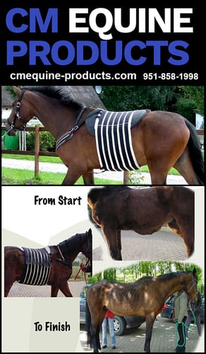 CM™ Equine Products — Health (“Post Surgical” or “Hernia” Belt is designed to give your horse the support he…)