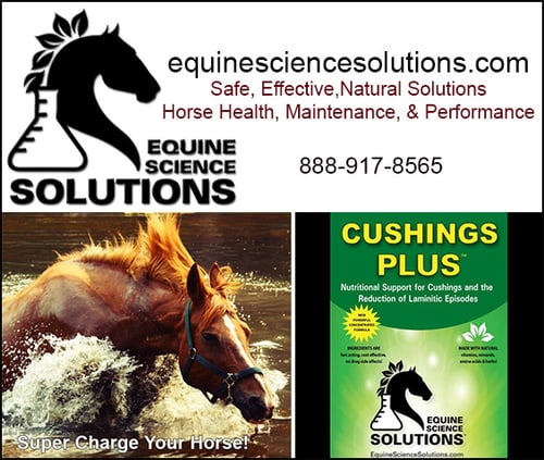 Cushings PLUS™ — Health (Pituitary Pars Intermedia Dysfunction, better known as Cushings disease, is a…)