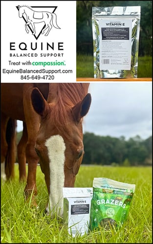 Daily, Natural Vitamin E — Health (Equine Balanced Support makes feeding your horse as easy as loving them)