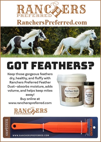 Feather Dust™ by Ranchers Preferred — Health (Lori and Brian—are horse lovers, and inventors at heart, -proud residents of…)