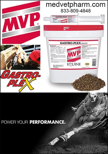 GastroPlex™ — Health (By Med-Vet Pharmaceuticals offers COMPLETE Digestive Support for your horse)