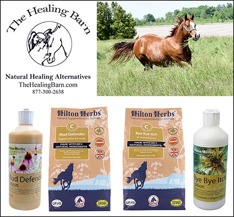 Healing B Equine - product image