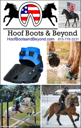 Hoof Boots & Beyond — Health (were designed for RIDING, JUMPING or EVENTING your horse)