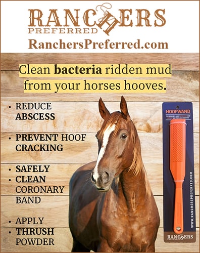 HoofWand™ by Ranchers Preferred — Health (Makes cleaning the outside wall of your horse's hooves safe, easy and efficient)