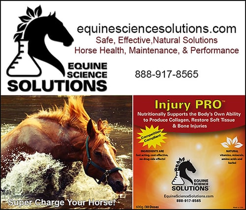 Injury PRO™ — Health (provides beneficial results for soft tissue wounds, ligament tears, bone…)