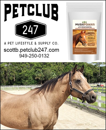 MushPonies — Health (made from the extremely beneficial Versicolor Mushroom , can have a tremendous…)