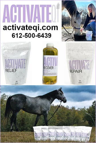 "Qi" pronounced CHEE is used in Traditional Chinese Medicine (TCM) to describe vital energy or life force in the body. on InfoHorse.com