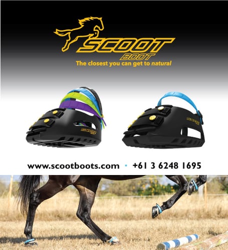 Scoot Boot — Health (Revolutionary New Riding Hoof Boots)