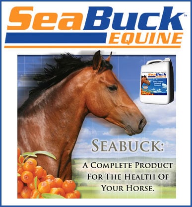 SeaBuckComplete — Health (All-natural supplement helping horses look, feel, and perform their best)