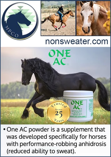 Sport-Horse Care Supply Guide English riding partner preview for The Bridleway by InfoHorse