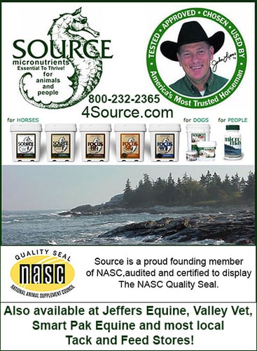 Source 2015 Supplement - product image