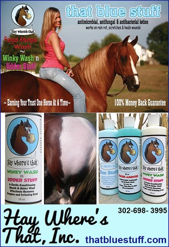 That Blue Stuff, Fungus Amungus, Winky Wash n Udder Stuff, — Health (“Hay Where’s That Blue Stuff” was developed by Tina for use in their…)