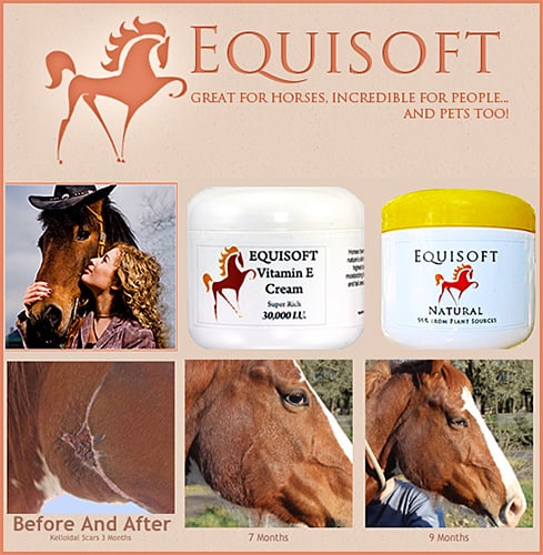 The Equisoft Story-- It All Started With A Severely Burned Horse Named Rubicon.... — Health (Equisoft Cream is the most powerful and effective Vitamin Ecream on the market…)