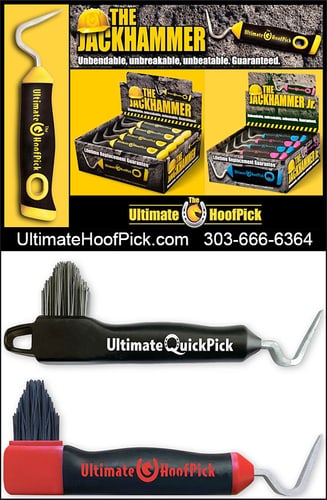 The Ultimate Hoofpick by — Health (With T he Ultimate Hoofpic k in your tack box, you'll never again have to worry…)