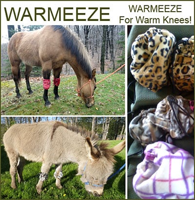 WARMEEZE — Tack (My name is Kate Wolfe, and thanks to my best friend, my husband, my life long…)