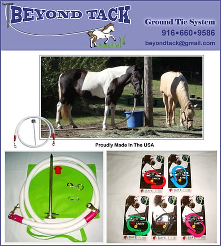 Beyond Tack Ground Tie System — Tack (Our 16ft lead has bull snaps on both ends for added security)