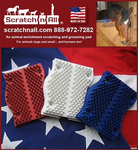 Devastating Details Of Husband's Will Leads To Invention Of Brilliantly Practical Pet Product: — Health (Scratch n All® offers a safe and effective way of self-scratching so that the…)