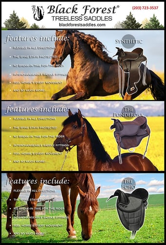 Black Forest Treeless Saddles — Tack (Come discover the magic of Black Forest Treeless Saddles and what they can do…)