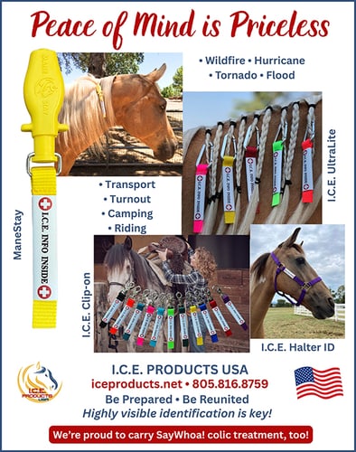 I.C.E. Products USA — Services (BE PREPARED • BE REUNITED • PEACE OF MIND IS PRICELESS)