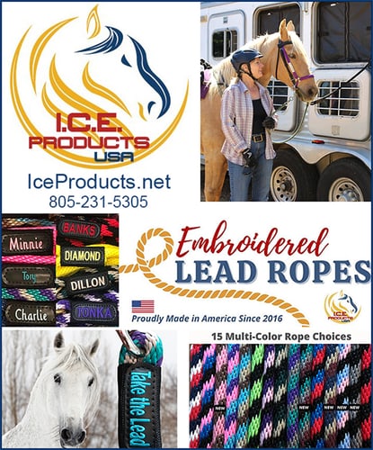 IDENTIFICATION Lead Ropes by I.C.E. Products USA — Tack (Products USA ) beloved horses, “Rio" and “Stetson" were boarded)