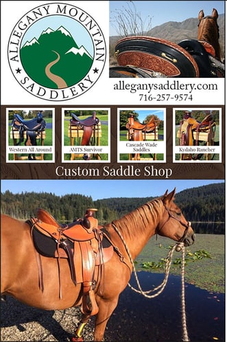 Allegany Mountain Saddlery — Tack (At Allegany Mountain Saddlery , our saddles are built exclusively one at a…)
