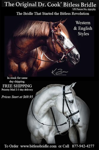 Bitless Bridle English riding partner preview for The Bridleway by InfoHorse