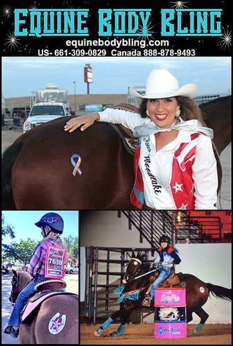 Equine Body Bling — Tack (offers a unique way to show off your style and attitude and make your horse…)