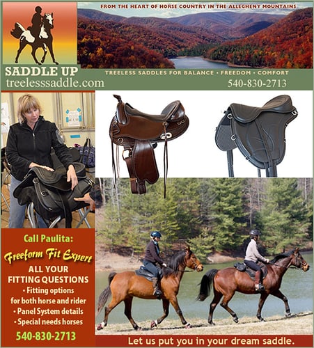 Freeform Treeless Saddles — Tack (by Saddle Up, LLC)