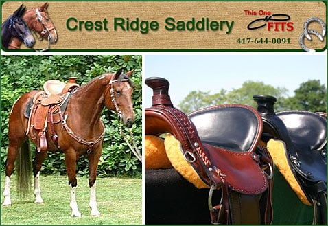 Saddle Fitting for Gaited Horses, Stock Horses and Mules — Tack (The Craftsmen at Crest Ridge Saddlery are inspired by working saddles from the…)