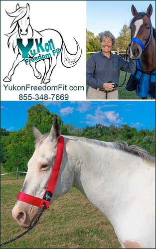 Yukon Quick Fit™ Halter — Tack (Dayton Ohio, known as the birthplace of invention, has brought the world many…)