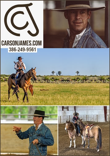 Carson James — Trainers (You have probably seen Carson James on one of his popular YouTube videos ,…)