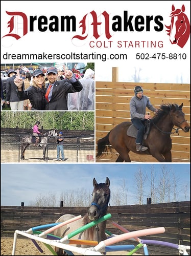 Dream Makers Colt Starting — Trainers (with Toby and Heather Richard, offers the most comprehensive foundation)